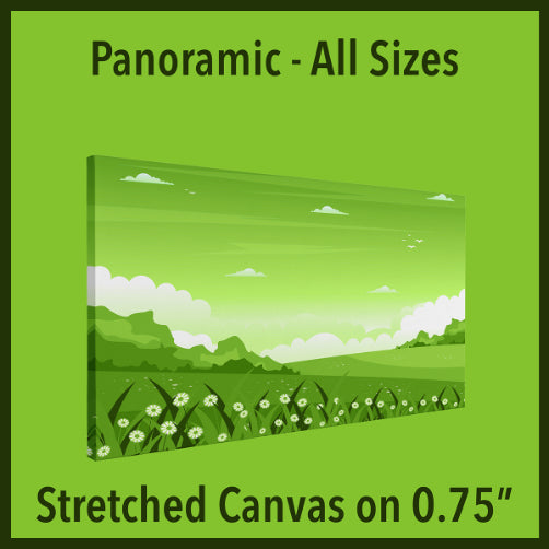 Stretched Canvas Panoramic on 0.75"