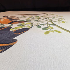 Fine Art Paper Medium